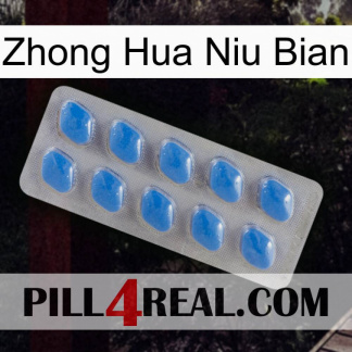Zhong Hua Niu Bian 22